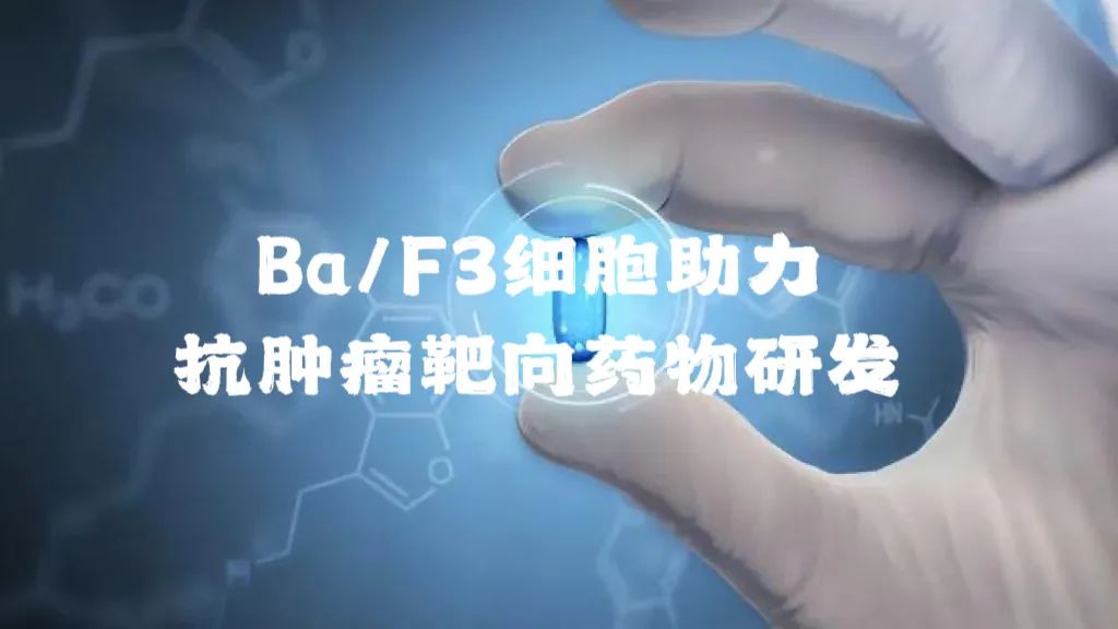 Ba/F3細(xì)胞助力抗腫瘤靶向藥物研發(fā)